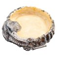 thumbnail image 4 of Comedero para reptiles, cuenco, bandeja de agua para tortugas y lagartos, de resina fácil de limpiar con escalón de fácil acceso., 4 of 9