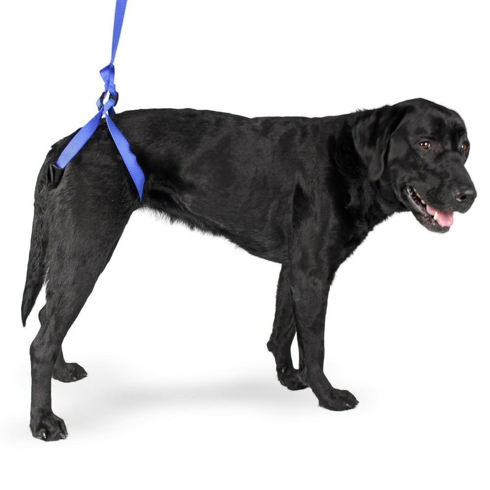 UpnGo Rear Support Lifting Harness for Dogs Helps Dogs with Arthritis, Weakness, Joint