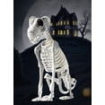 thumbnail image 3 of Adornos calavera Hueso perro esqueleto Wdftyju Halloween, 3 of 9