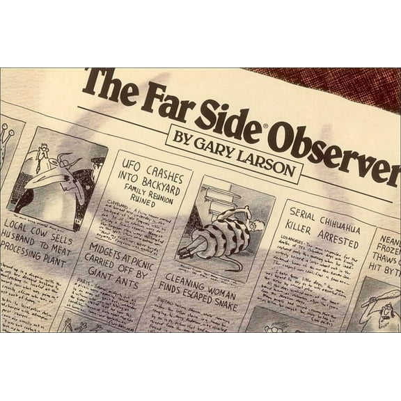 Far Side The Far Side(r) Observer, Book 10, (Paperback)