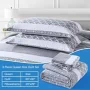 Bedduvit Gray/White Queen Size Quilt Set - 100% Cotton Grey Floal Striped Summer Quilt for Queen Bed, Reversible Classic Lightweight Queen Bedspread, 3-Piece Bedding Set All Season (98x90, Gray)