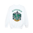 thumbnail image 1 of Harry Potter Boys Slytherin Crest Sweatshirt, 1 of 6