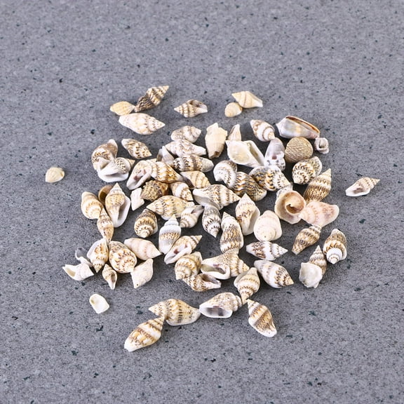 50Pcs Small Conch Home Decoratio Natural Seashell Decor Crafts Fish Tank Aquarium Boutique Decoration