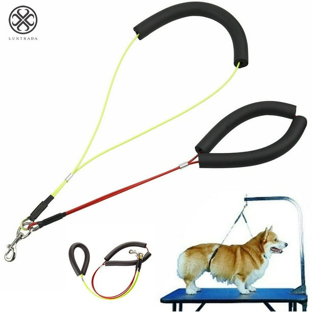 Luxtrada Pet Dog Harness NoSit Per Haunch Holder Grooming Restraint