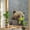 Gray, variant on Bear Window Privacy Film, Farmhouse Rustic Animals Wooden Texture Stained Glass Rainbow Film Decorative Window Clings, Static Cling Sun Blocking Stickers 17.7" x 39.3"