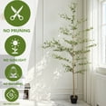thumbnail image 4 of 7FT Artificial Black Olive Tree with Pot - Realistic Faux Olive Tree for Indoor Home Decor, Low Maintenance Fake Tree for Living Room Corner/Office, 4 of 6