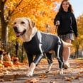 thumbnail image 3 of Halloween Pet Dog Skeleton Costume, Full Body Skeleton Bones Printed Four-Leg Jumpsuit Clothes Accessories for Medium Large Dogs Cosplay Photos Black S, 3 of 5