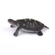 thumbnail image 4 of Conjunto de 8 Piezas Macarena Tortugas de Plástico Modelo de Tortuga Colección de Juguetes, 4 of 8