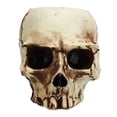 thumbnail image 2 of Skull Plant Container, High Strength Exquisite Clear Shape Skull Head Flower Pot Decorative Resin Portable  For Home, 2 of 8