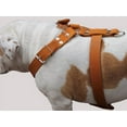 thumbnail image 2 of Tan Genuine Leather Dog Harness, Large to XLarge. 35"-39" Chest, 1.5" Wide Straps, Great Dane Cane Corso, 2 of 3