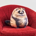 thumbnail image 4 of Oreiller en Peluche Chat, Oreiller en Peluche Renard, Oreiller en Peluche Raton Laveur, Peluches Douces Animaux en Peluche Mignons, Oreiller en Peluche Chaton Poupée Jouets en Peluche Cadeau, 4 of 6