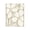 Southwestern Floral Botanical, variant on Stupell Industries Eclectic Black Floating Frame Canvas Art, 17 x 21, by Cat Thurman Designs