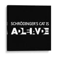 thumbnail image 1 of Cuadro decorativo - El gato de Schrödinger, Roge I. Luis 60x60 Canvas Lab Blanco y negro, Frases, Humor, Minimalista, 1 of 2