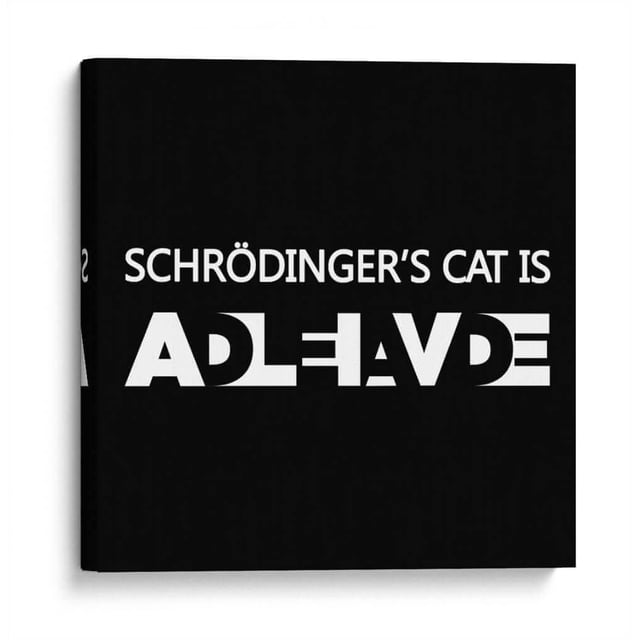 Cuadro decorativo - El gato de Schrödinger, Roge I. Luis 60x60 Canvas Lab Blanco y negro, Frases, Humor, Minimalista