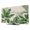 Beige, Green, Sage, variant on Tropical Plants TV Cover for 24 Inch Screen,Stretch Fabric Dustproof TV Display Protector,Green Summer Botanical Leaves Branches Elastic Slipcover Monitor Cover for Indoor Computer 20.9"x11.8"