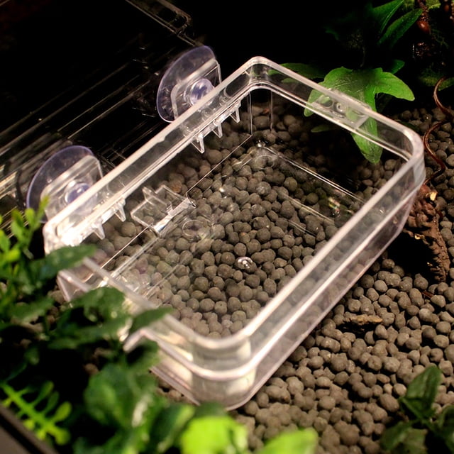 Cuenco de reptiles equipo de suministro de agua Cuenco de cebo Cuenco de alimentos para reptiles cuenco de alimentación de gusanos transparente para colocar larvas de cebada ANGGREK Otros