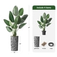 thumbnail image 3 of Artificial Tree in Contemporary Pattern Planter, Fake Bird of Paradise Silk Tree for Indoor and Outdoor Home Decoration - 67" Overall Tall (Plant Pot Plus Tree), 3 of 5