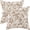 Brown Floral, variant on Spring Floral Pillow Covers 20X20 Set of 2, Botanical Print Green Flower Plant Pattern Decorative Throw Pillowcases Outdoor Farmhouse Seasonal Cushion Cases Couch Sofa Bed Decor