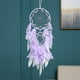 thumbnail image 4 of Dreamcatcher With Natural Crystals Wall Decorations With Feathers Are Ideal For Bedrooms Living Rooms Office Decorations And As A Spiritual Gift, 4 of 6