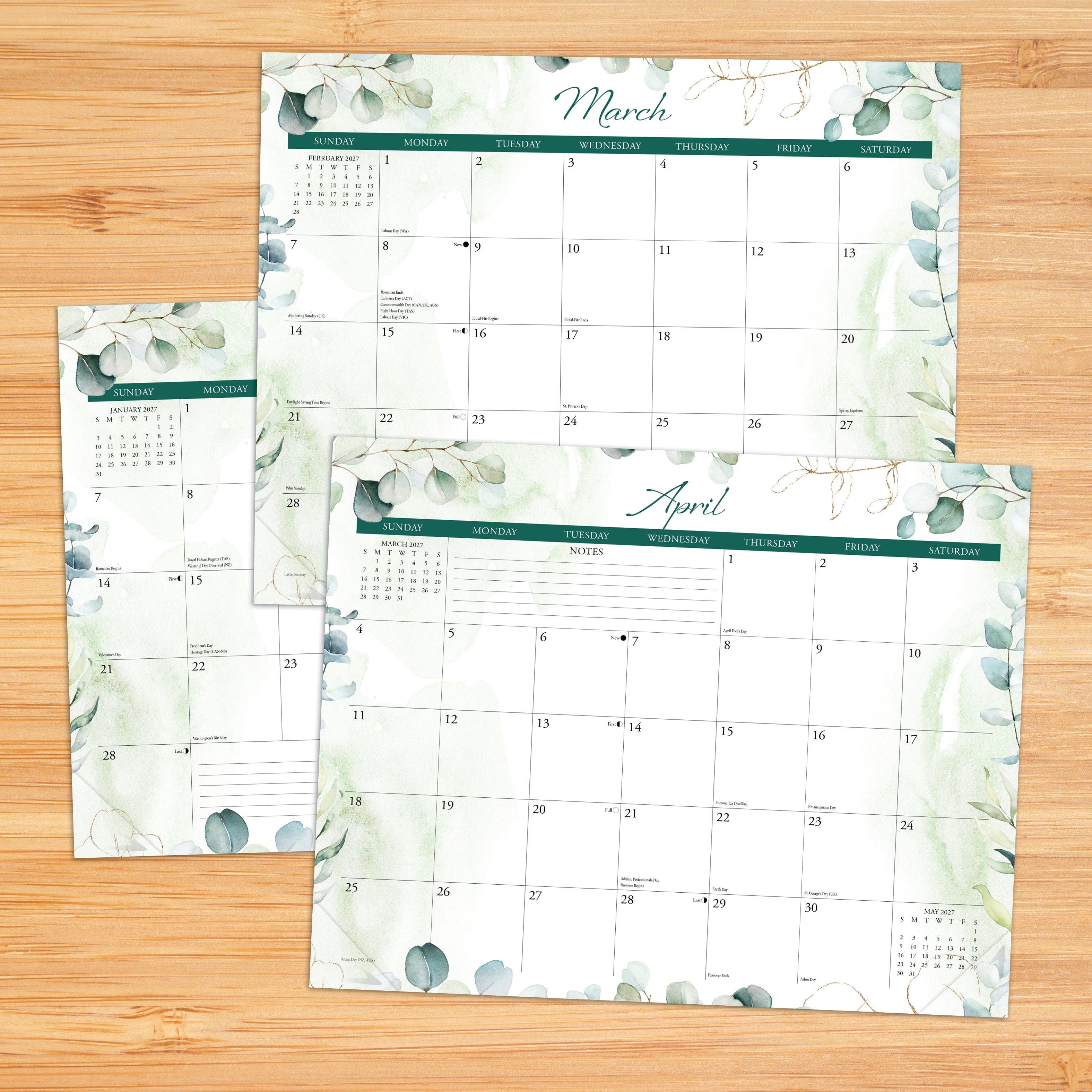 Willow Creek Press Eucalyptus 2027 14.25" x 11.25" Magnetic Wall Calendar (64825)