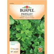 Burpee-Parsley, Gigante d'Italia Organic Seed Packet