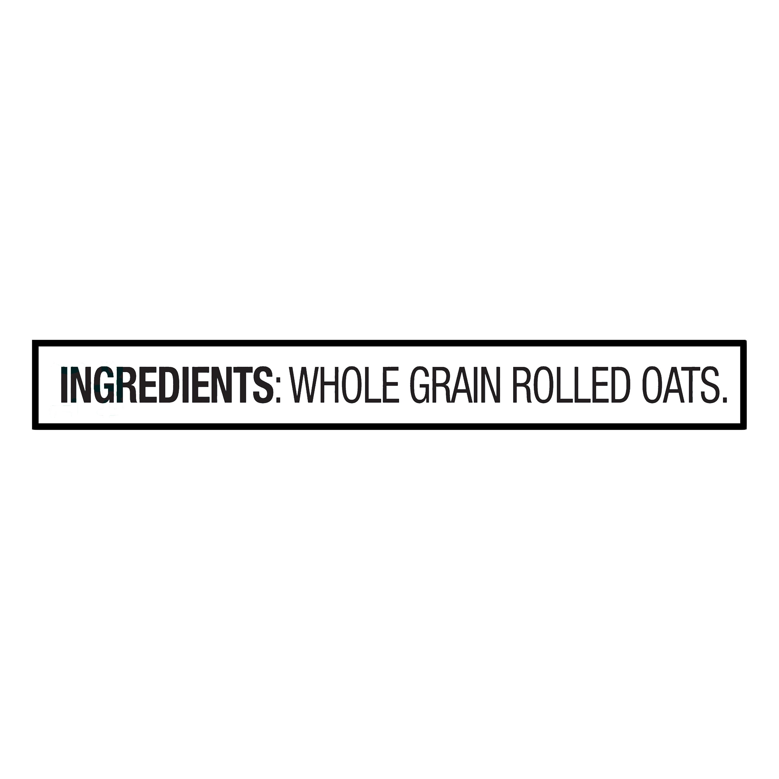 Great Value Instant Oats Tube, 18 oz