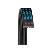 Carquest by Dayco Poly Rib Belt, Premium Fits select: 1989-1995 GEO METRO, 1994 SUZUKI SWIFT GA/GS