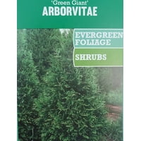 Images Park Hill Plants And Trees Plants Flowers Trees Walmart Com actualisé salutations