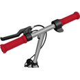 thumbnail image 3 of Trottinette Électrique Razor Black Label E100- Argent/Rouge, 3 of 9