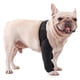 thumbnail image 1 of Rodilleras para mascotas, cubierta protectora transpirable para recuperación de discapacidad y lesiones, 1 of 5