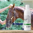 thumbnail image 4 of Nexderma Mint Antiseptic and Antifungal Hypoallergenic Medicated Mint Shampoo for Dogs & Cats, Tearless Pet Shampoo for Allergies, Dry, Itchy,& Sensitive Skin, Promotes Healthy Skin & Coat - 4oz, 4 of 9