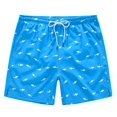 thumbnail image 1 of Bañador de secado rápido para hombre, pantalones cortos de playa con forro de malla, ropa de baño con estampado de dibujos animados, Verano Fivean unisex, 1 of 2