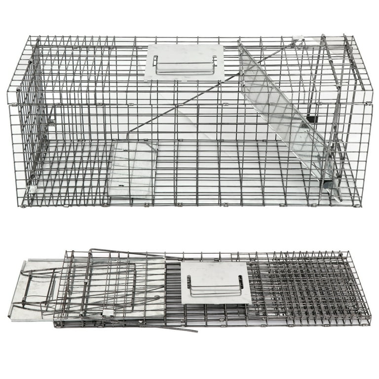 Humane Way Folding 32 Inch Live Humane Animal Trap - Safe Traps for All  Animals - Raccoons, Cats, Groundhogs, Opossums - 32x10x12