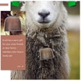 thumbnail image 2 of SHISUYAN Durable Copper DIY Pet Bells for Animals with Soft Sound 4 Pieces Assorted Color, 2 of 8