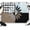 Black, White, Brown, Blue, variant on 7x5ft Photo Backdrop, Abstract Daisy Soft Polyester Backdrop Curtains Photography Backdrops, Country Colorful Patchwork Leopard Print Plaid Brushed Background for Photoshoots Studio Video Portrait