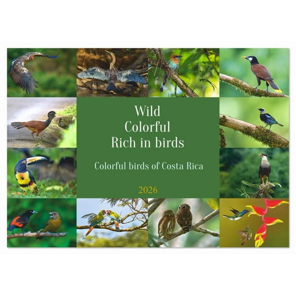 Wild. Colorful. Rich in Birds. (Monthly Wall Calendar 2026 11.7 x 16.5 (open)), CALVENDO 14 Month Calendar