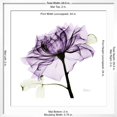 thumbnail image 5 of Art.com Purple Rose 2 Art Print by Albert Koetsier, White Frame Wall Art, 29" x 29", 5 of 5