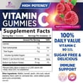 thumbnail image 3 of Zero Sugar Vitamin C Gummies - Immune Support & Antioxidant VitaminC Dietary Supplement - Vegan, Non-GMO, Dairy & Gluten Free C Vitamin Gummy - Raspberry Flavor for Kids & Adults - 60 Count Gummies, 3 of 10