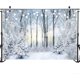 thumbnail image 4 of Fondo de fotografía personalizado de paisaje invernal con bosque nevado, copos de nieve congelados y decoraciones para fiestas, escenas de nieve invernales, paisajes naturales (2,1 x 1,5 m), 4 of 7