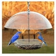thumbnail image 1 of Woodlink NABBFDR Dome Top Seed & Bluebird Bird Feeder, 1 of 4