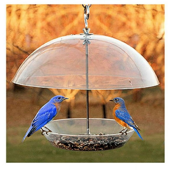 Fancy Feline Dome Top Platform Bird Feeder for Seed & Bluebirds, 2 lb Capacity