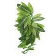 thumbnail image 3 of Loewten Lifelike Plastic Plant, Fastness Artificial Reptile Plant With Suction Cup For Reptiles Terrarium For Fish Tank, 3 of 8