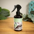 thumbnail image 3 of ScentSationals Room Spray - Eucalyptus & Sea Salt, 3 of 3