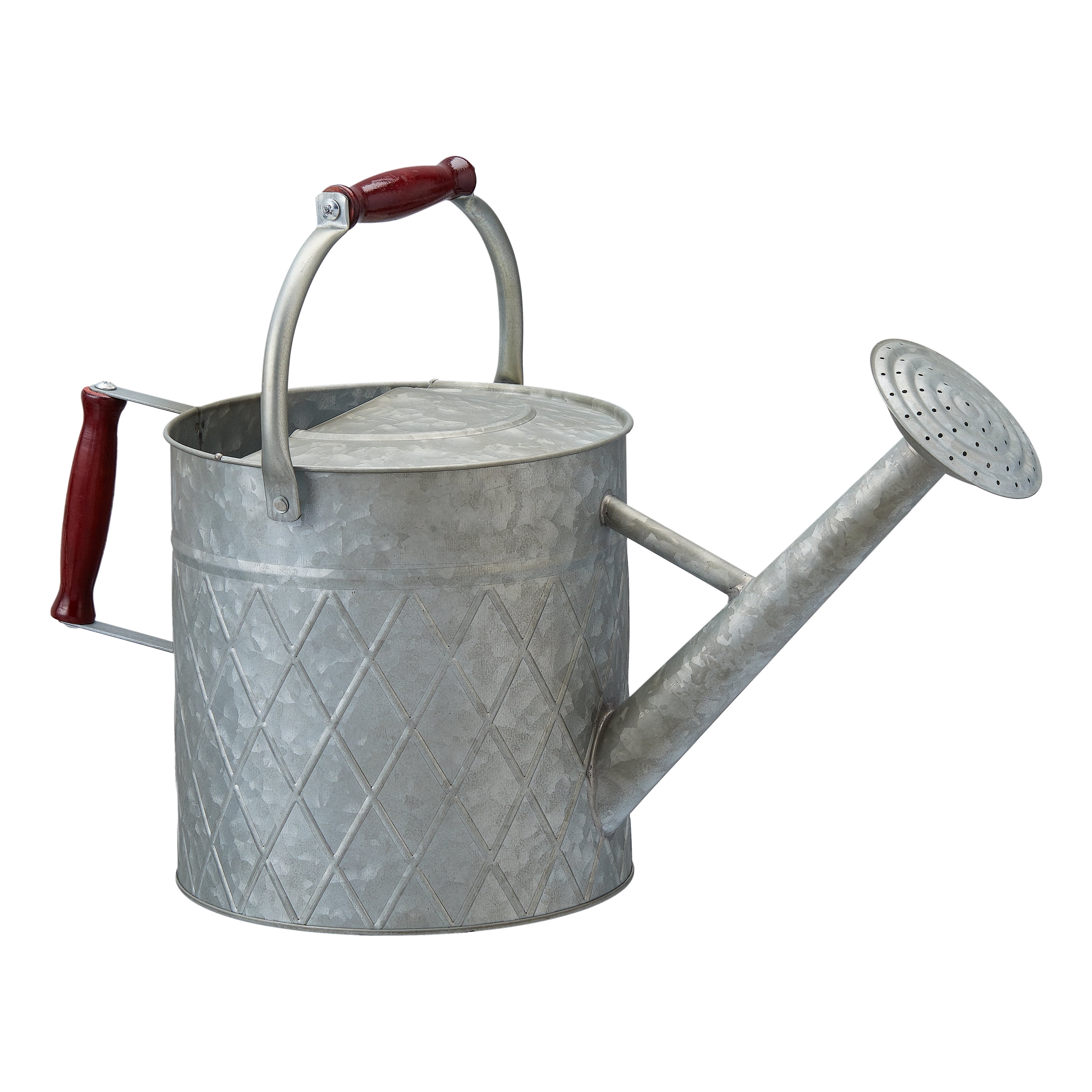 Watering Cans Indoor Outdoor House Plant Flower Spout Galvanized Metal Gardening