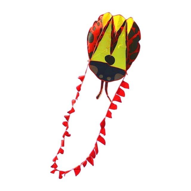 Ladybird parafoil cometa Sport Kite portátil Flying Toy Kite en forma de animal para Beach Park Backyard und Compensador para principiantes Rojo