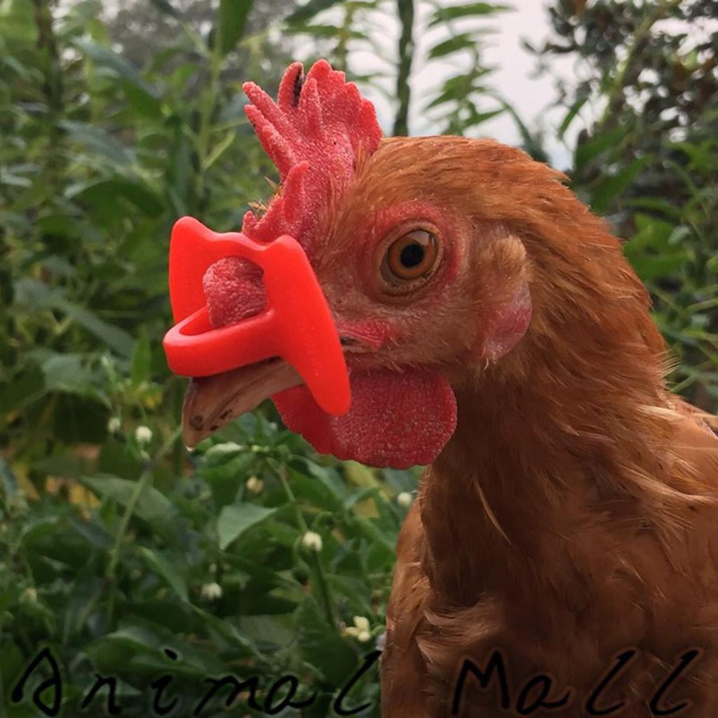 20 Pack Red Plastic Chicken Eyes Glasses Avoid Hen Peck Each Other Chicken Farm 