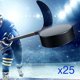 thumbnail image 5 of Hockey Pucks Hug Flight, 25 discos de práctica por funda, color negro, 5 of 9