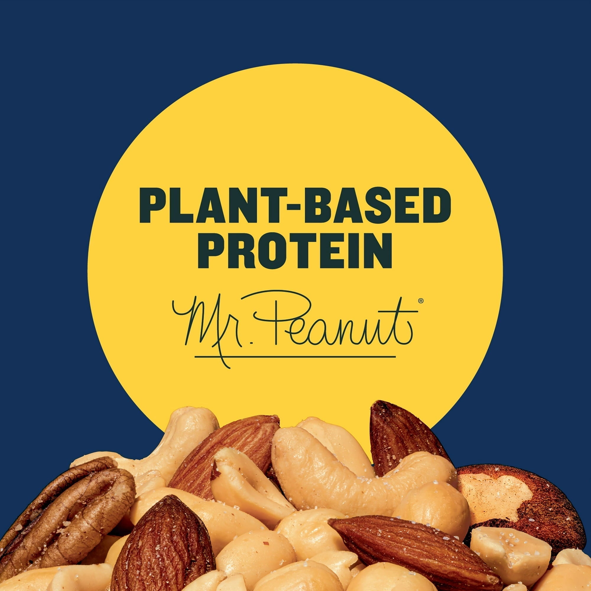 Planters Salted Mixed Nuts 10.3 Oz, 6 Pack