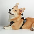 thumbnail image 4 of Reflective Harness, 4 of 42