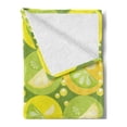 thumbnail image 2 of Lemons Soft Flannel Fleece Throw Blanket, Lime Slices in Creative Bubbly Cells Realistic Illustration, Cozy Plush for Indoor and Outdoor Use, 70" x 90", Lime Green Pale Green, by Ambesonne, 2 of 5